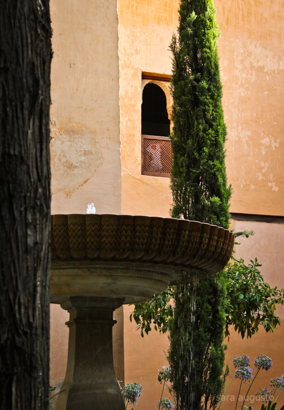 La Alhambra sara augusto 37